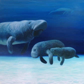 Zeekoeien 80x80cm, olieverf op paneel