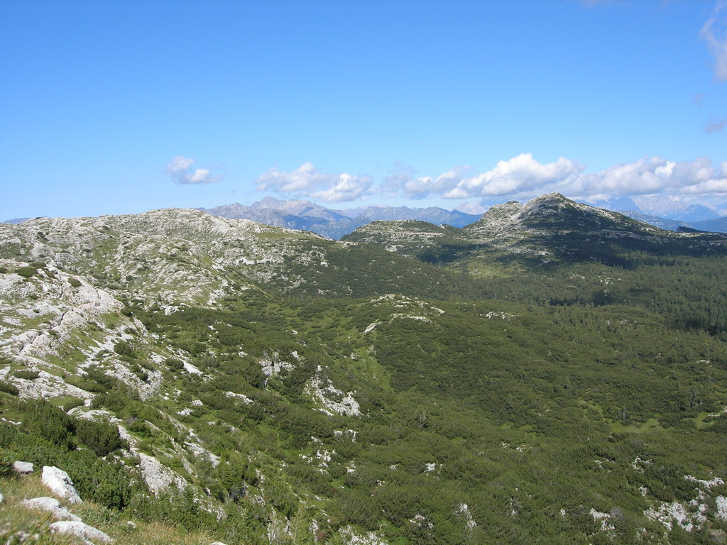 La battaglia dell'Ortigara