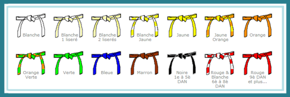 Grade de ceinture judo online