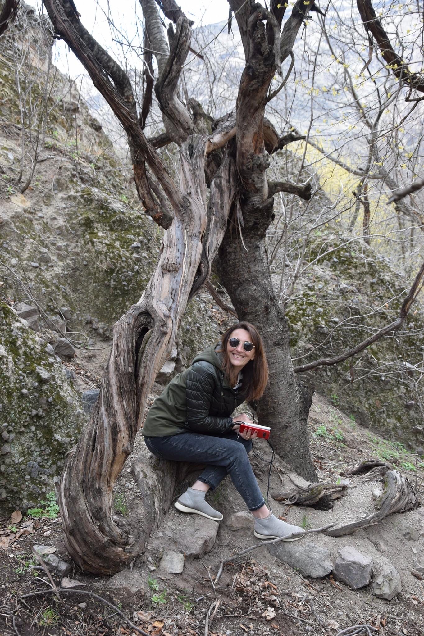 Natenadze's 400 year old vines