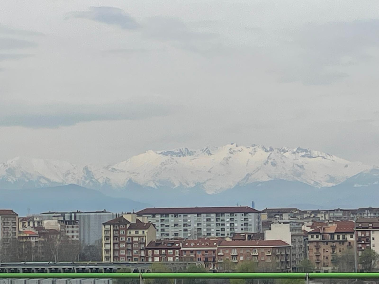 met de besneeuwde Alpen op de achtergrond