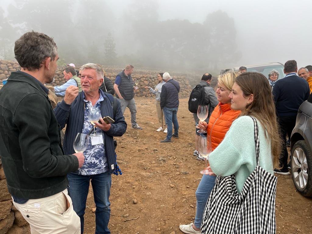 mistig wijngaard op 1680m hoogte