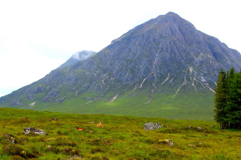  Foto zu The Best of Scotland - Busrundreise 2026 - Celtic-Reisen - Ihr 