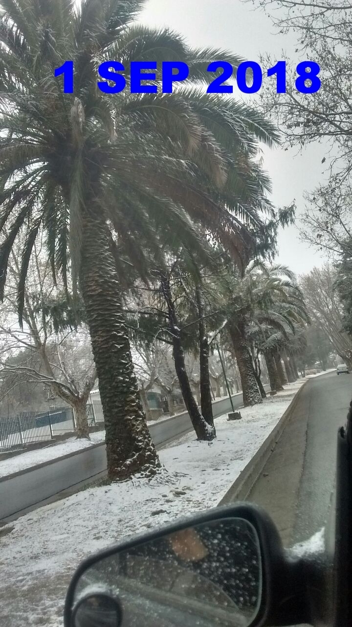 Nevada en el boulevard 