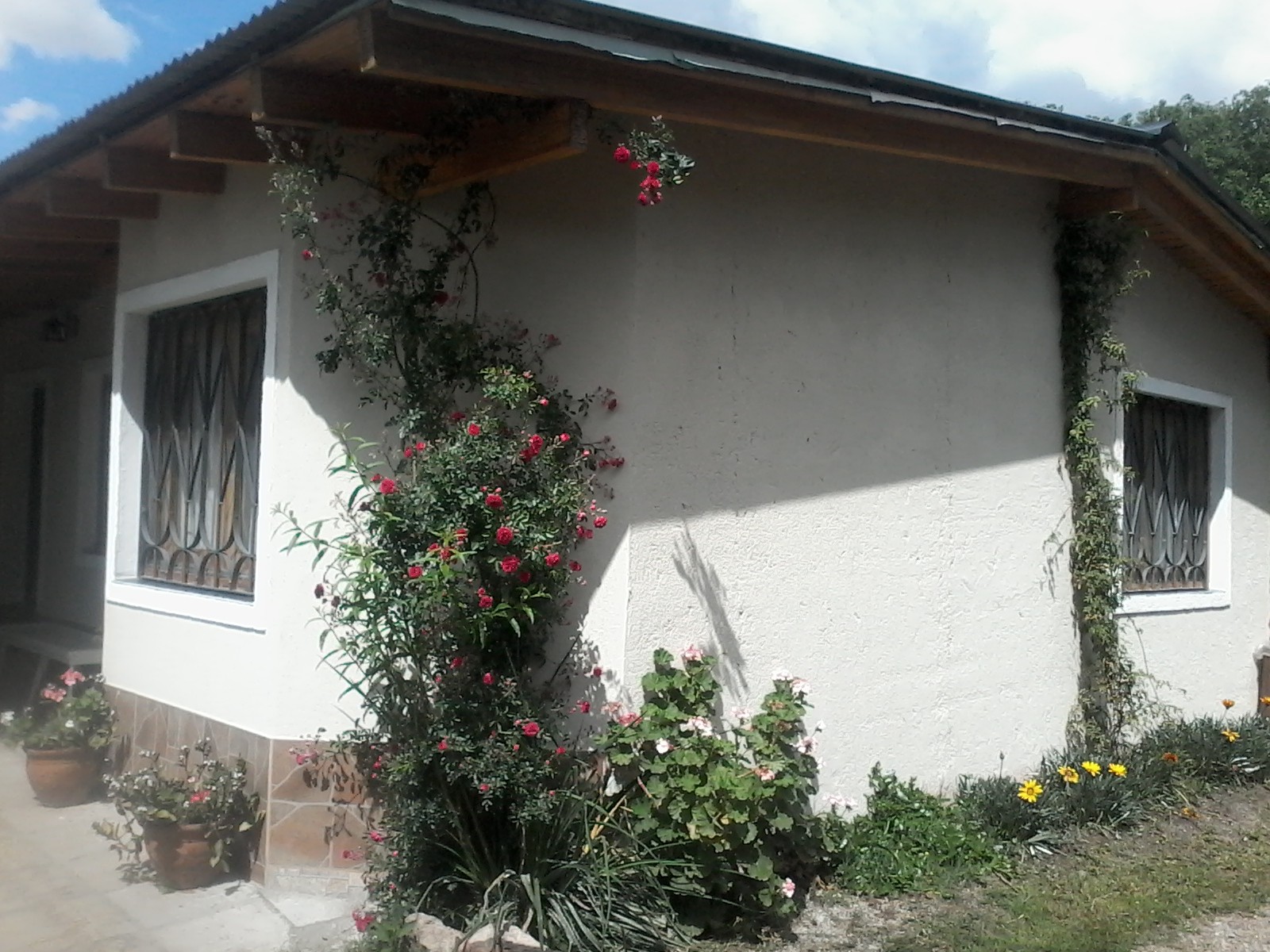 Vista exterior 