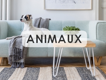 ArchiTendances, rubrique Animaux - Blog d'Amsterdam Communication