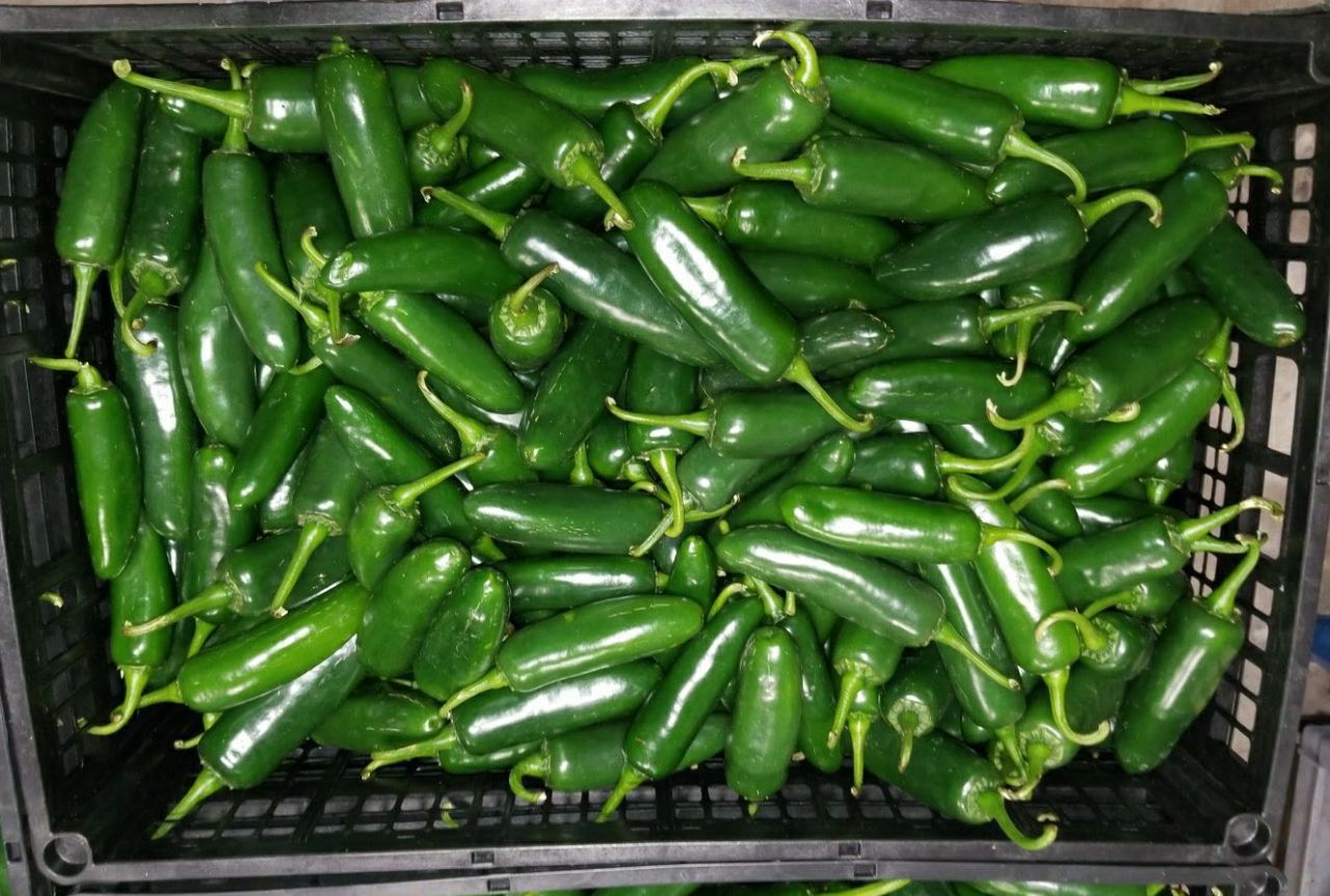 TO THE BEST MEXICAN PRODUCE Página web de