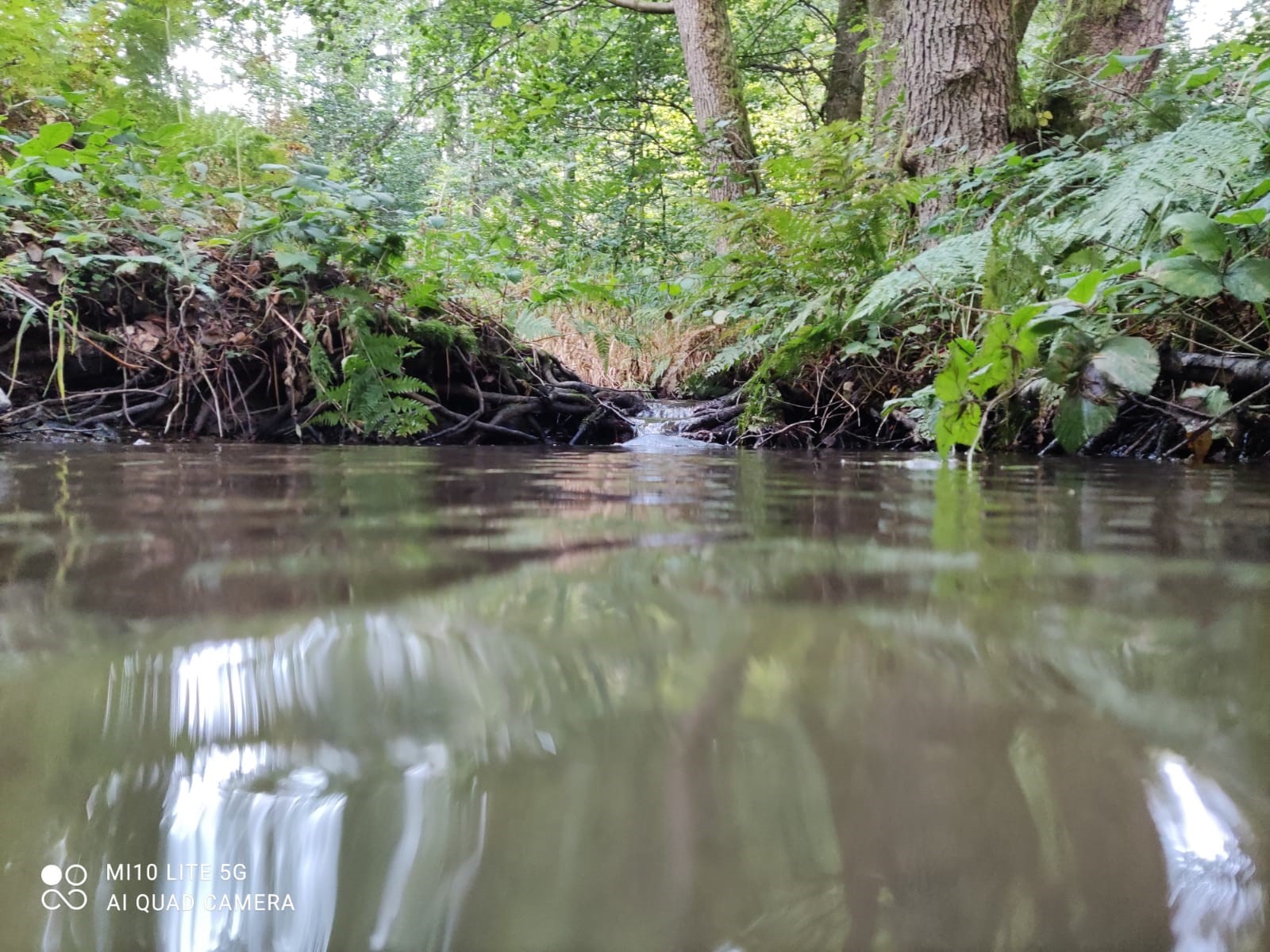 Ist unser Trinkwasser noch zu retten? - NABU