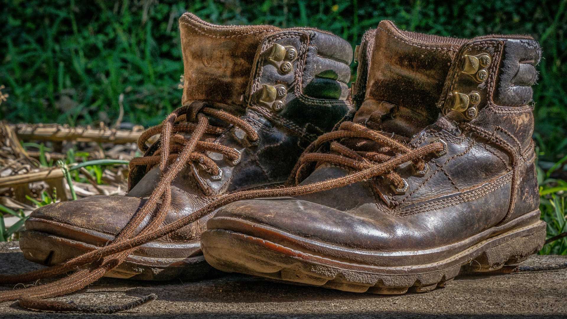 Old Brown Shoe (2)