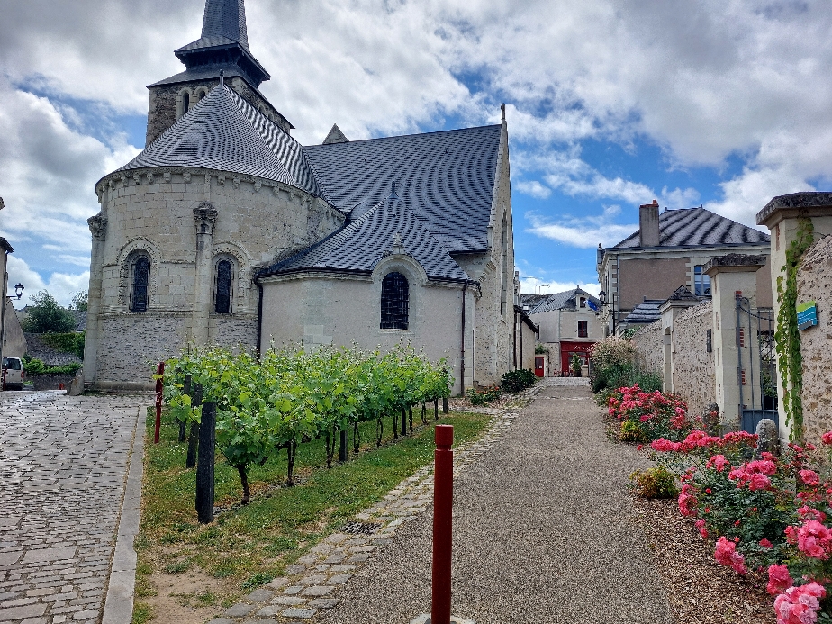 Savennières ... Der Messwein wird gleich an der Kirche angebaut