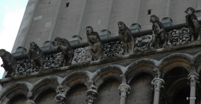 Gargouilles église Notre Dame