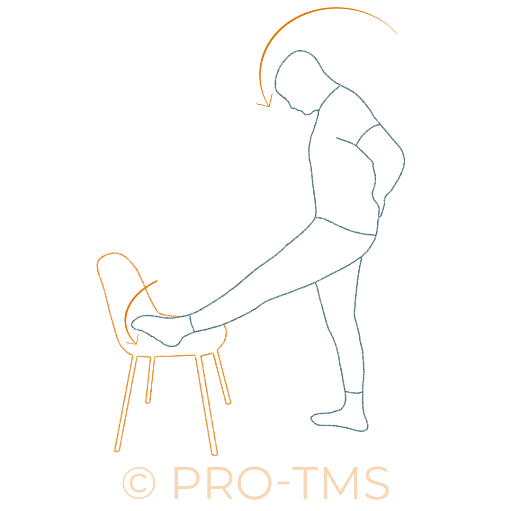 Exercice neurodynamique du nerf sciatique