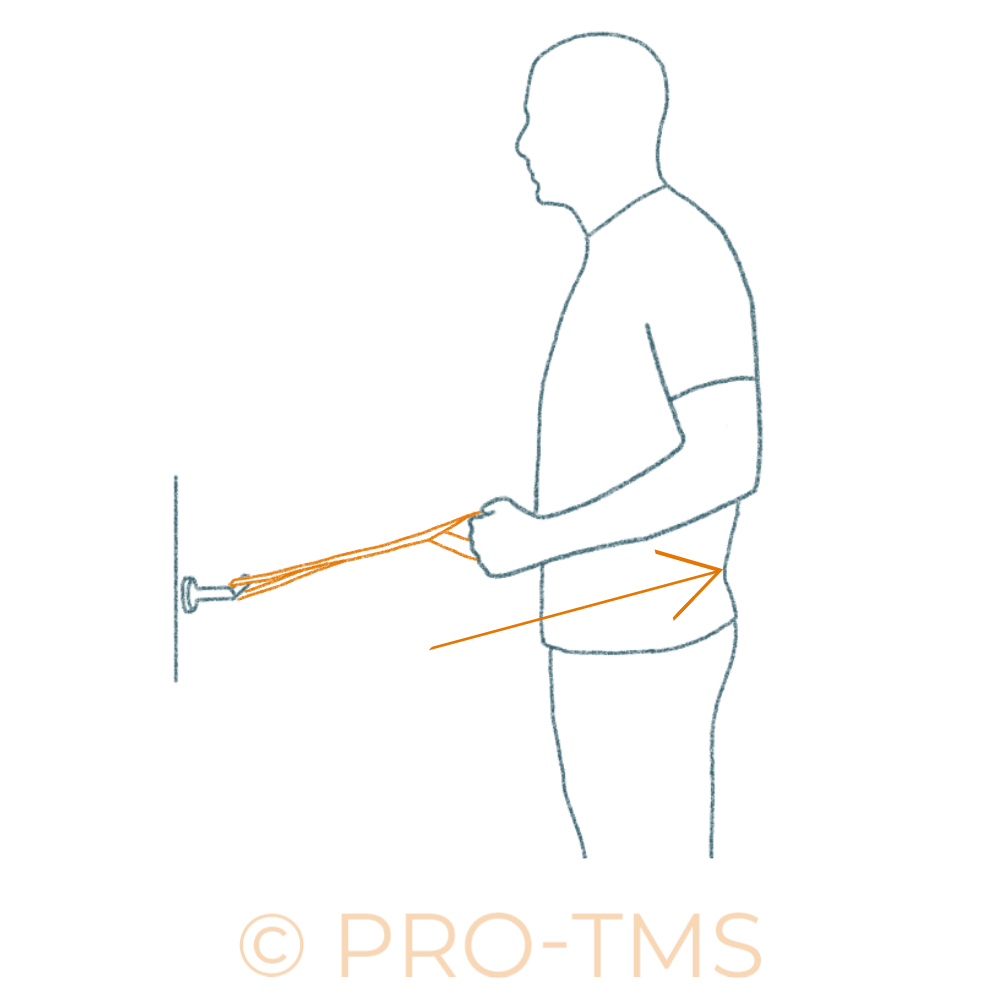 Renforcement musculaire du dos