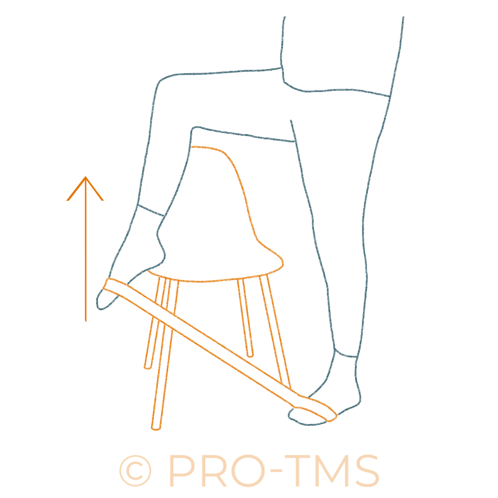 Renforcement musculaire des releveurs du pied