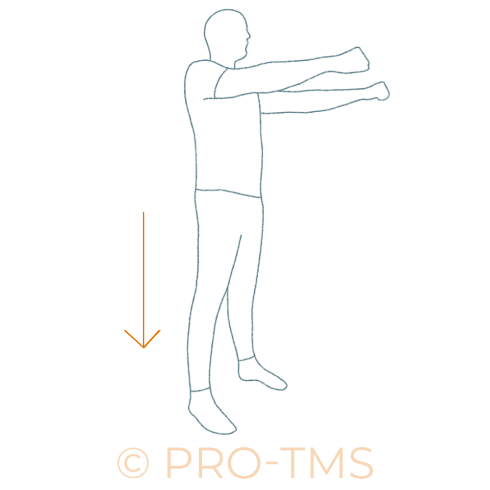 Renforcement concentrique des quadriceps