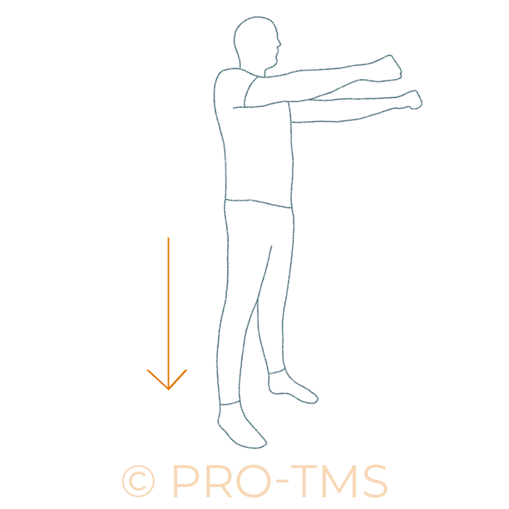 Renforcement musculaire des quadriceps