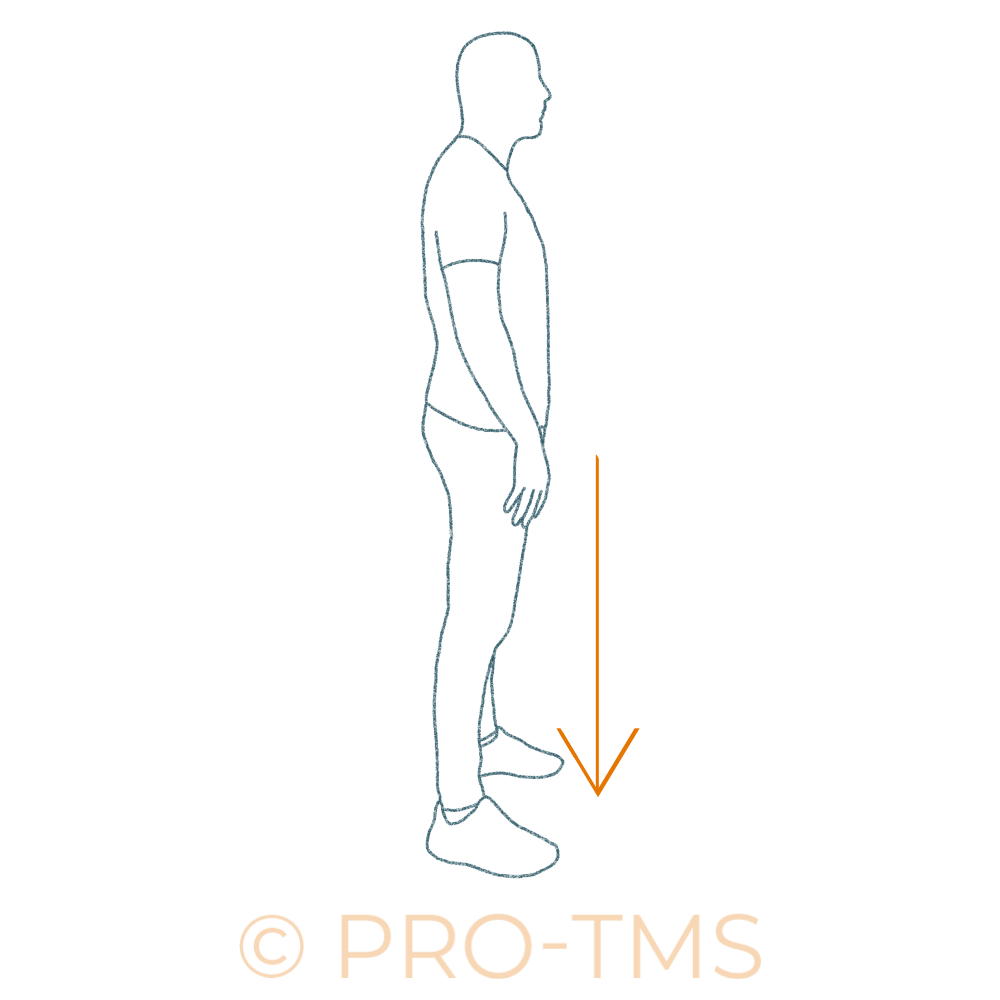 Renforcement musculaire des lombaires