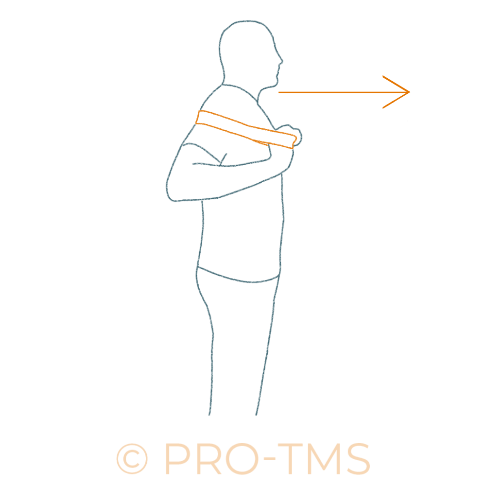 Renforcement musculaire des pectoraux