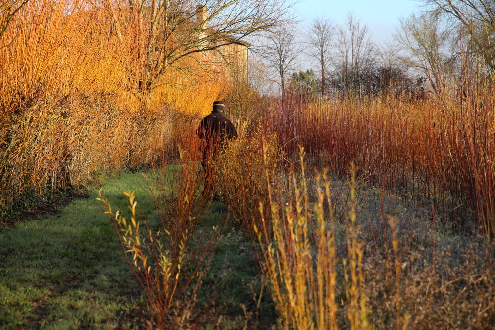 ambiances d'hiver...