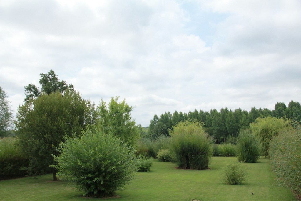 VUE DU PARC DE L'OSERAIE