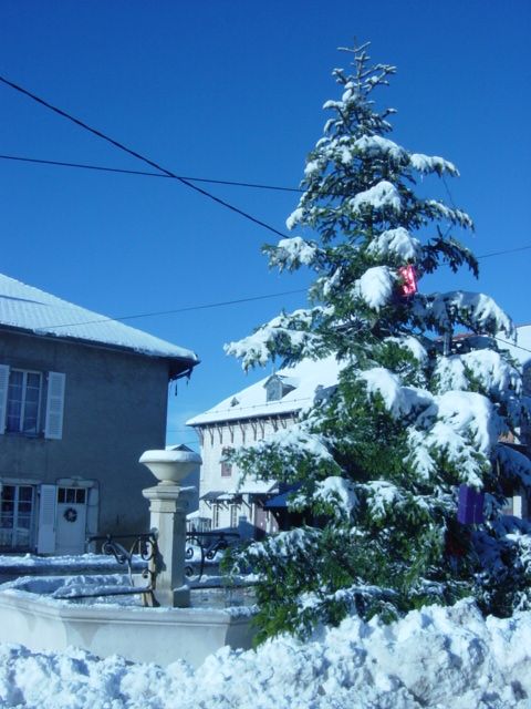 Test article