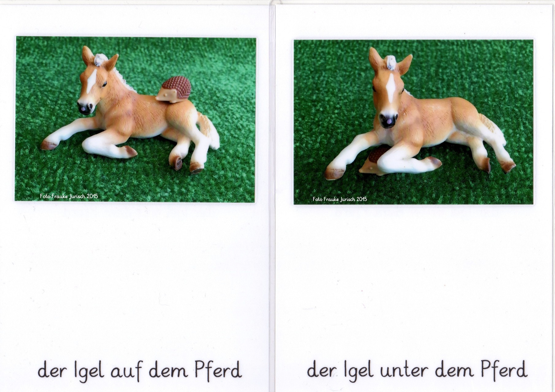 wortarten montessori zum ausdrucken free