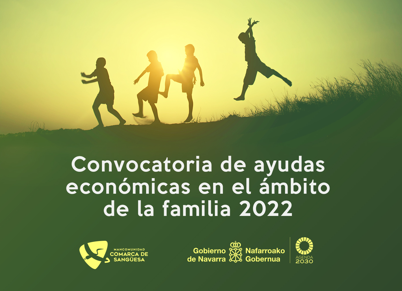 Ayudas para familias numerosas y monoparentales en materia de conciliación, cuidado de familiares y gastos extraordinarios de ortodoncia, óptica y audición