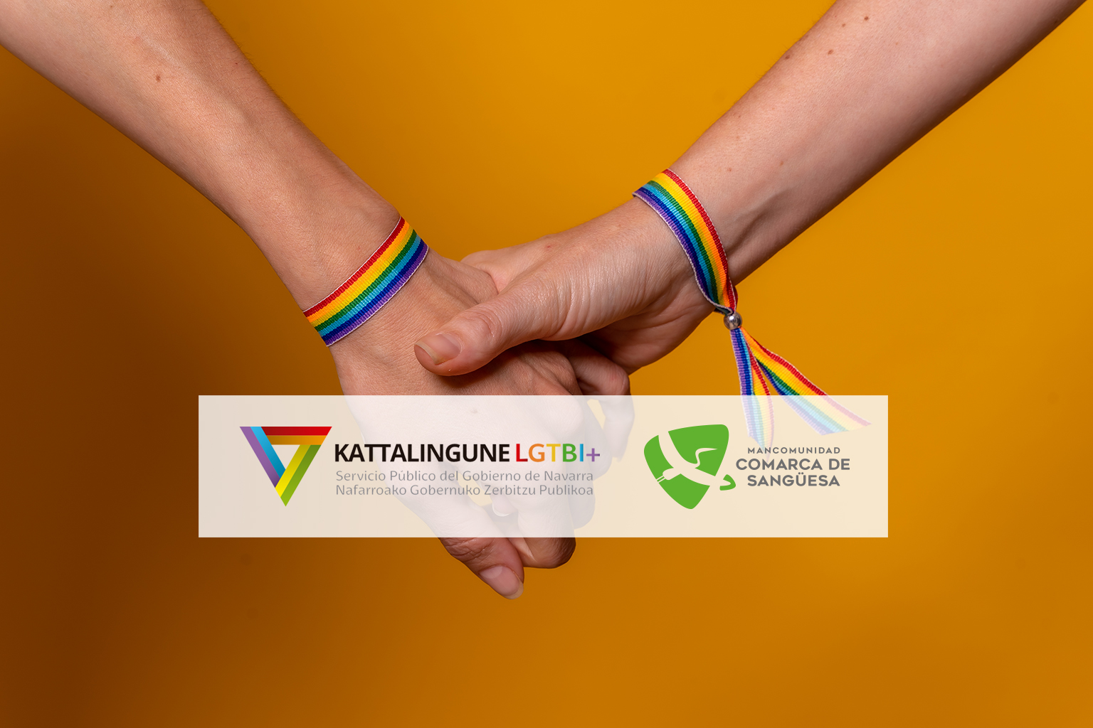 Kattalingune Zona Media: servicio público de información y atención LGTBI para la Comarca de Sangüesa