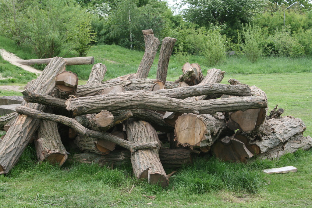 Holzhaufen auf der Kinderwiese