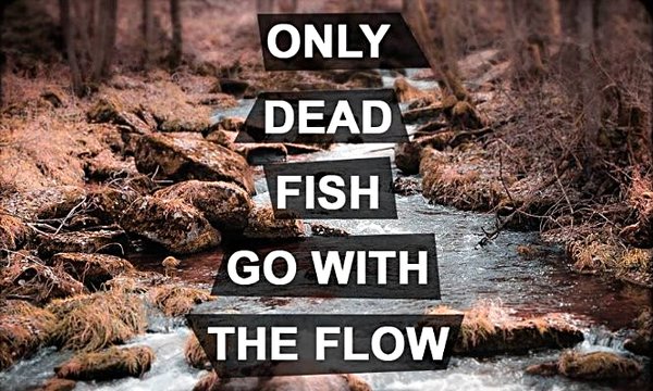 Ramones, 1978: I Wanna Make Yoga