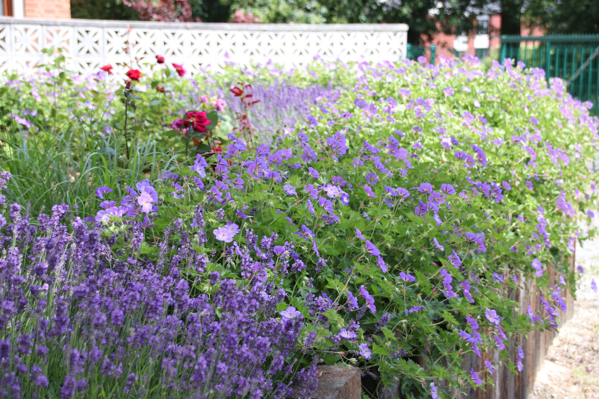 Courcelles ville fleurie Wallonie en Fleurs