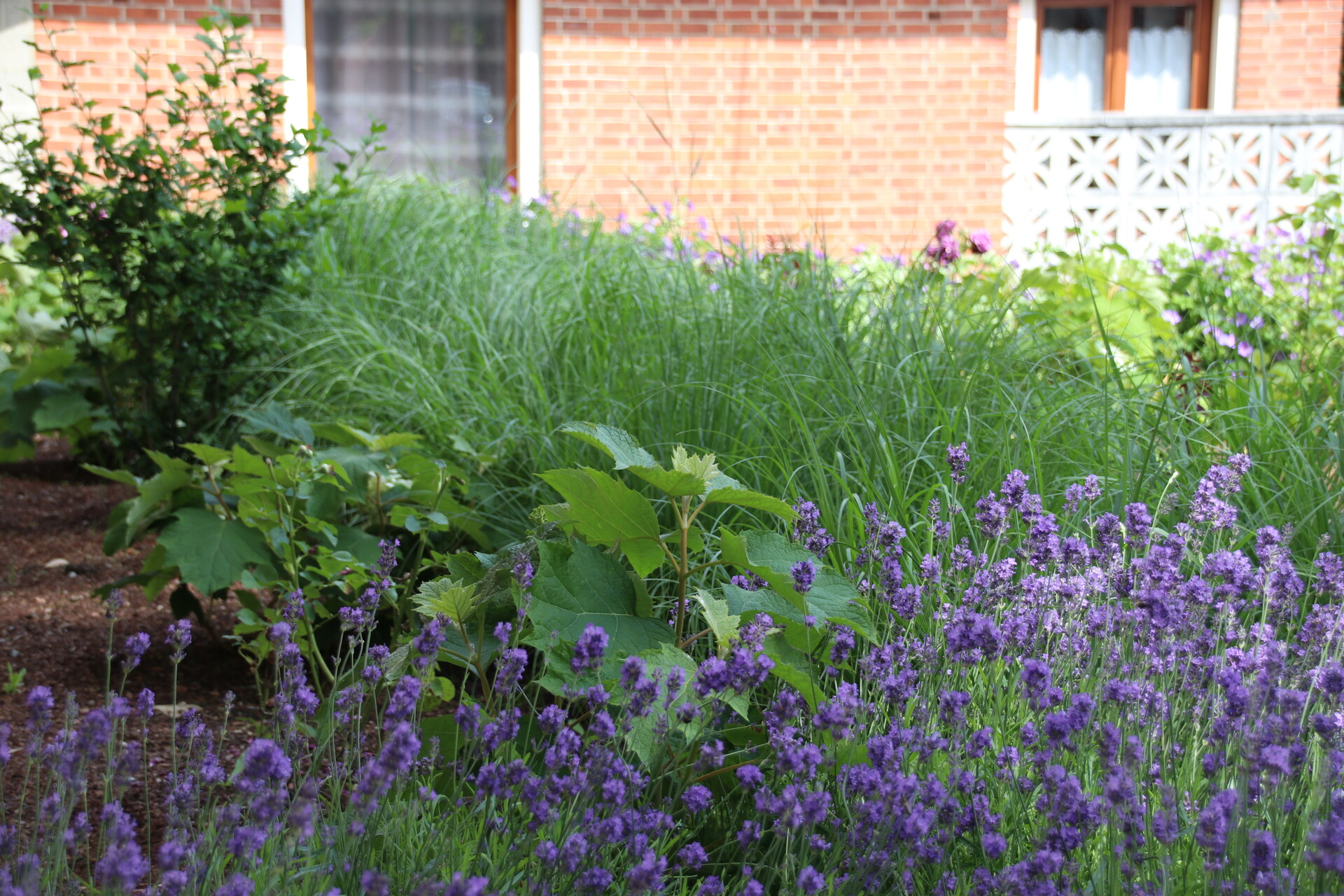Courcelles ville fleurie Wallonie en Fleurs