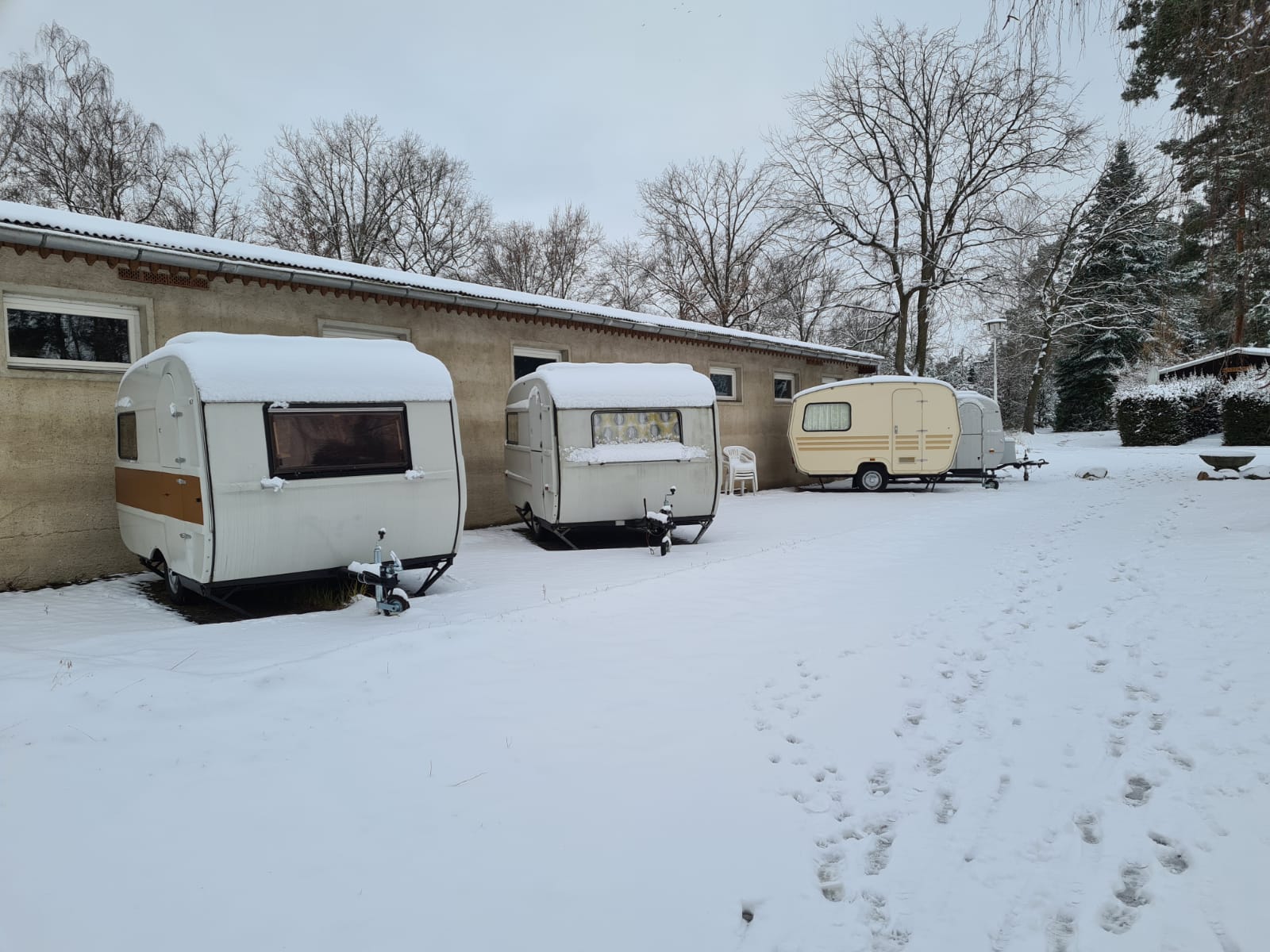 Winter am Lausiger Teich Qek Junior Schmiede Delitzsch