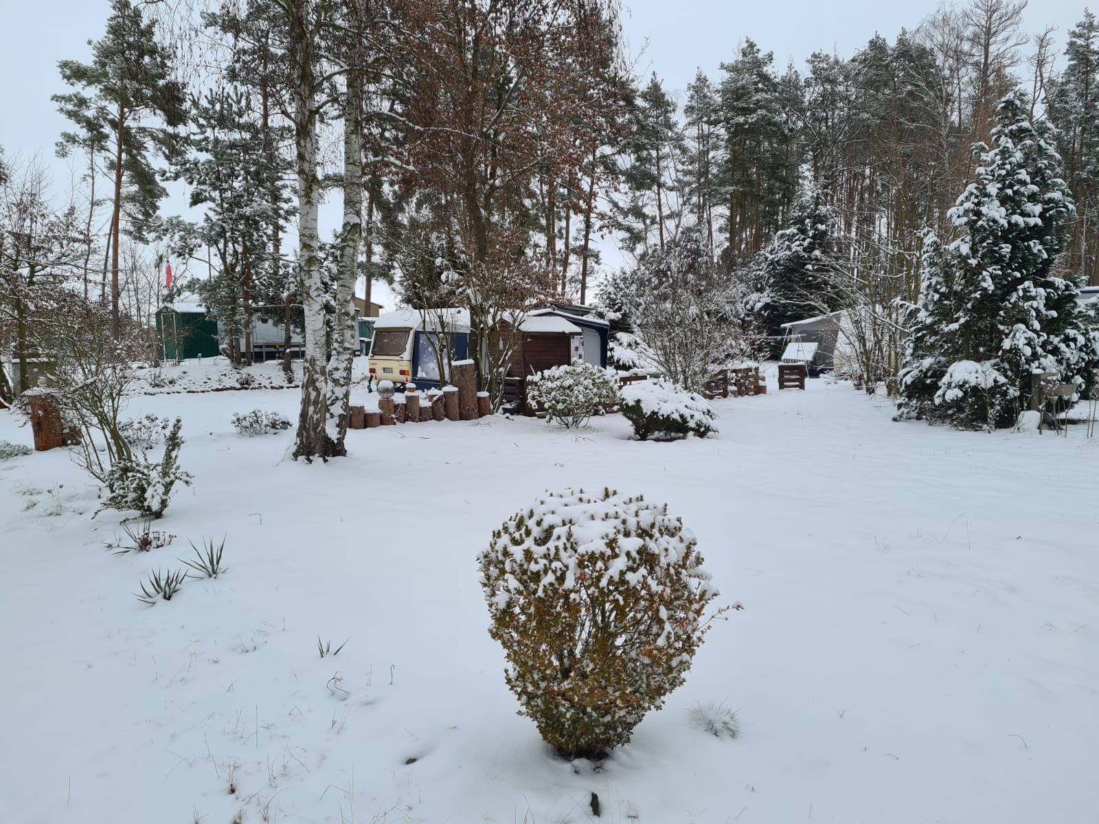 Winter am Lausiger Teich Qek Junior Schmiede Delitzsch