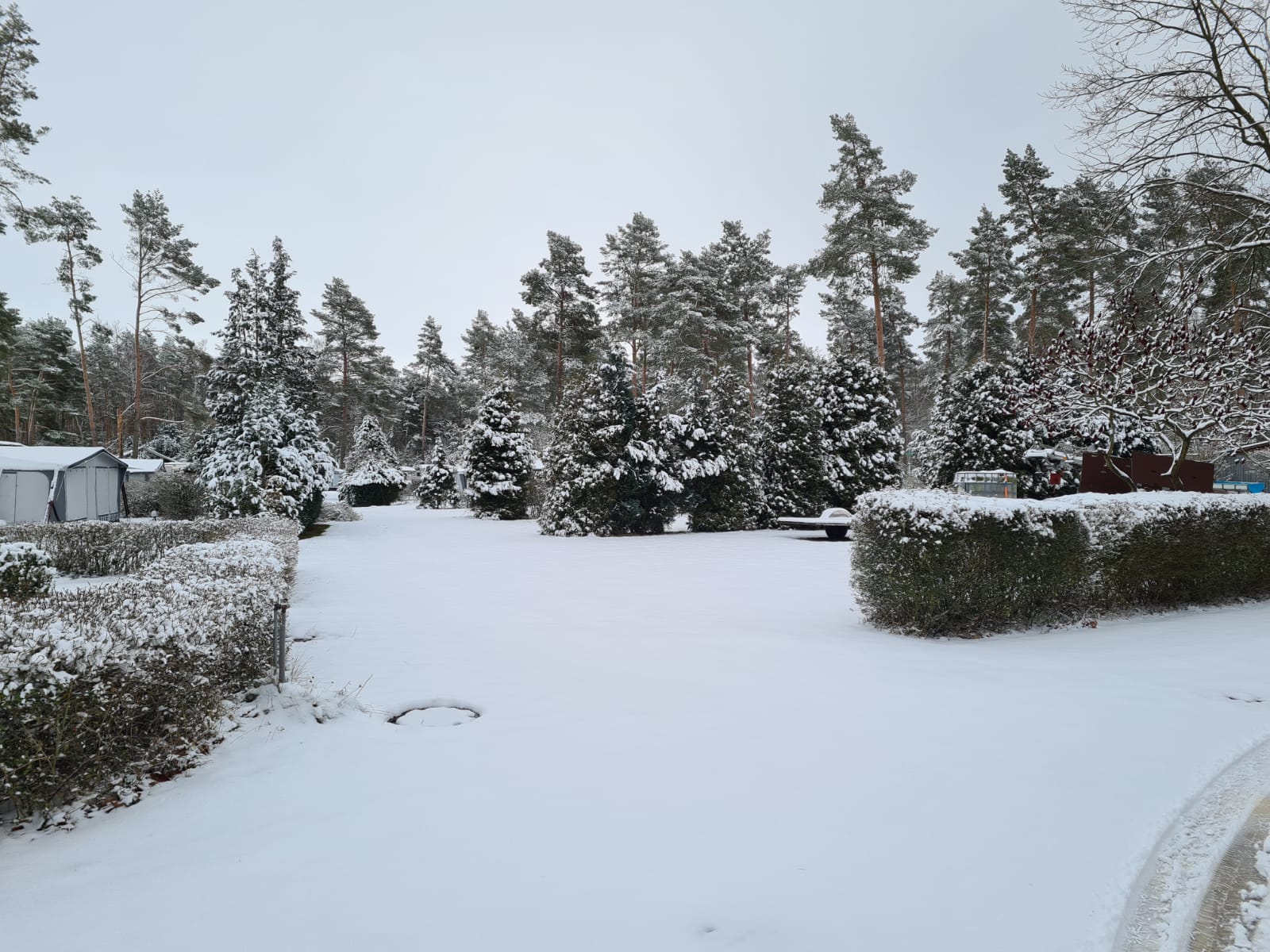 Winter am Lausiger Teich Qek Junior Schmiede Delitzsch