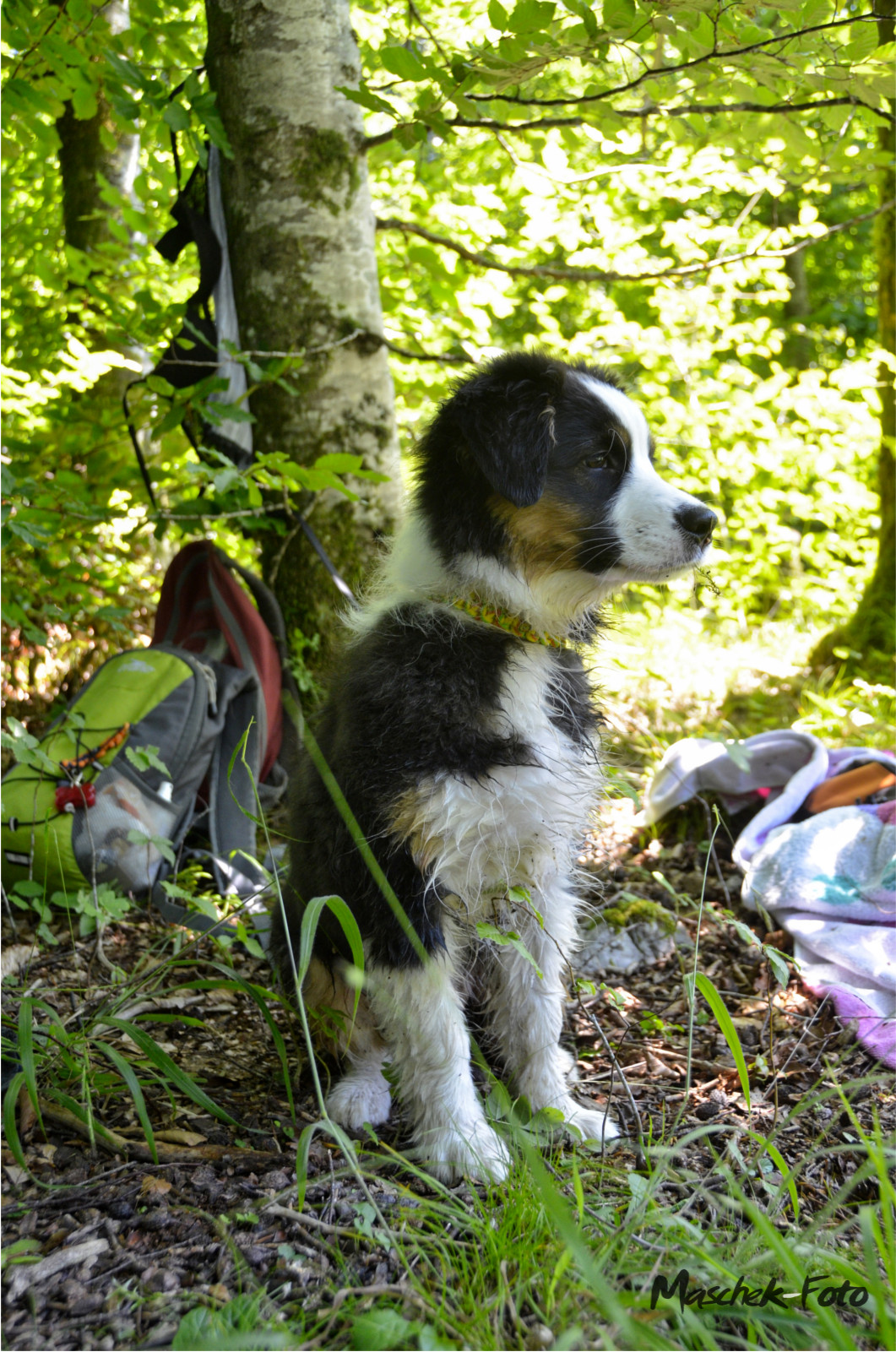 Neuzugang in der Familie! Die kleine Rabaukin Zula