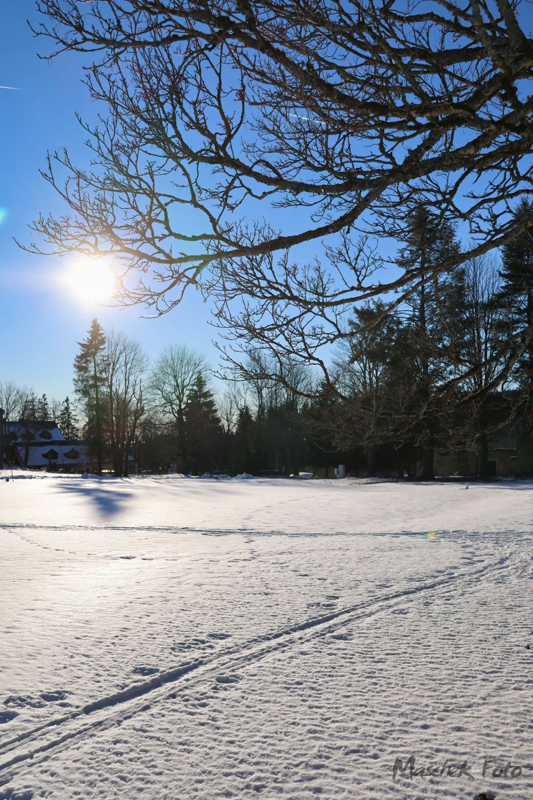 Winterlandschaft