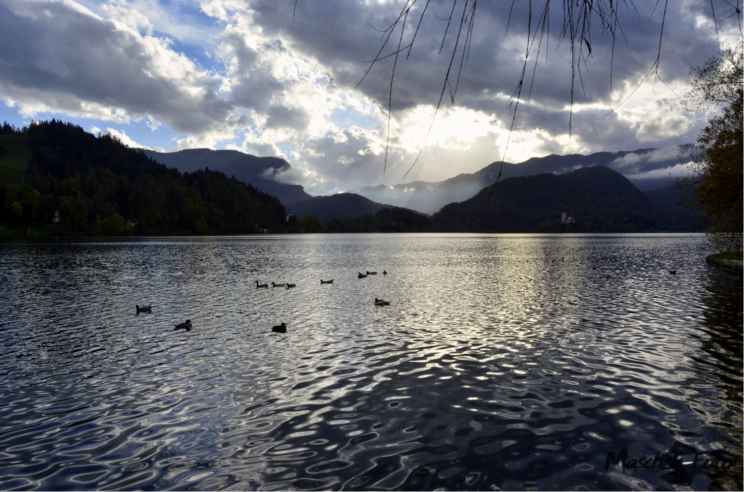 Bleder See3