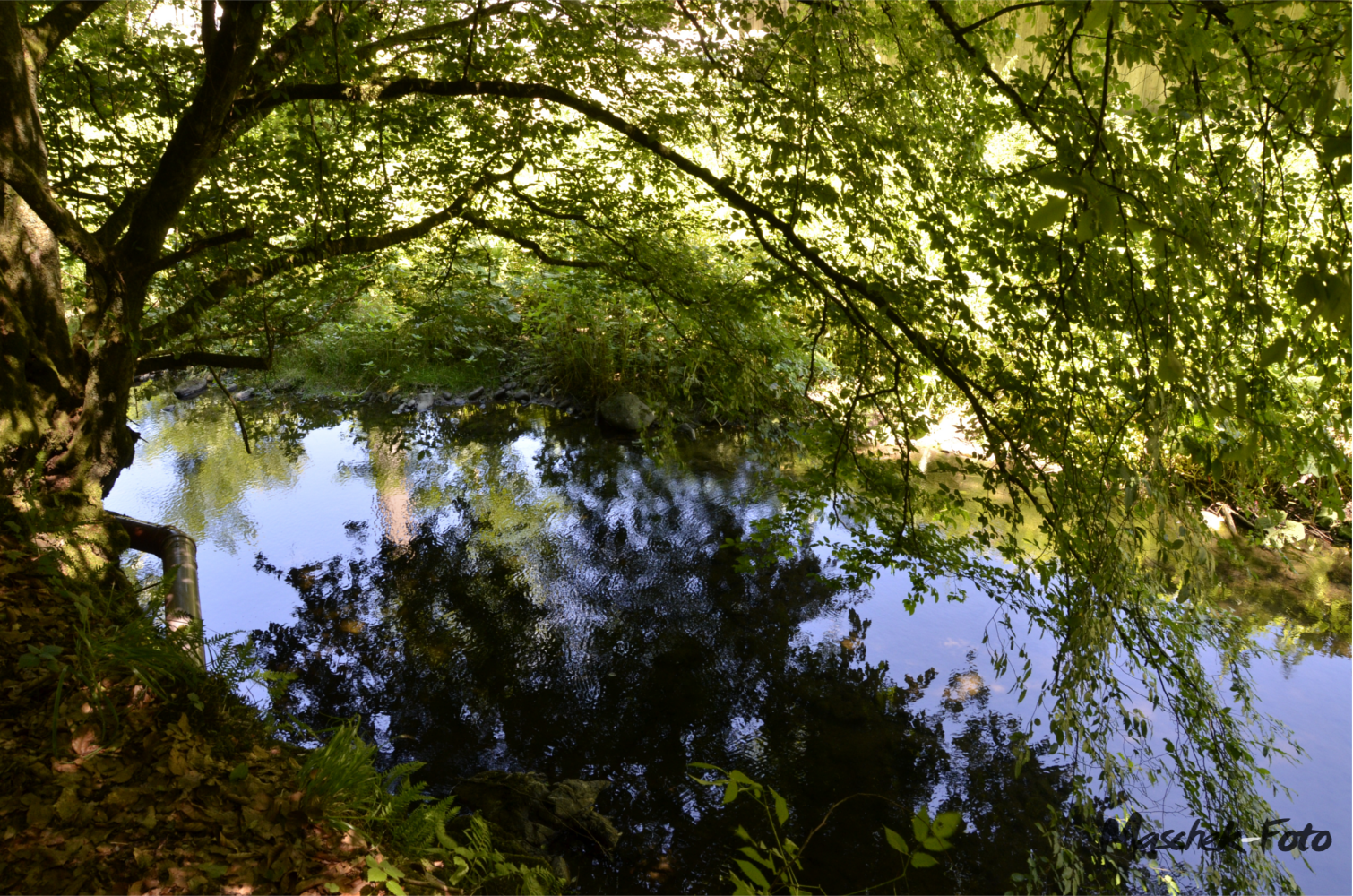 Idyllischer Bach