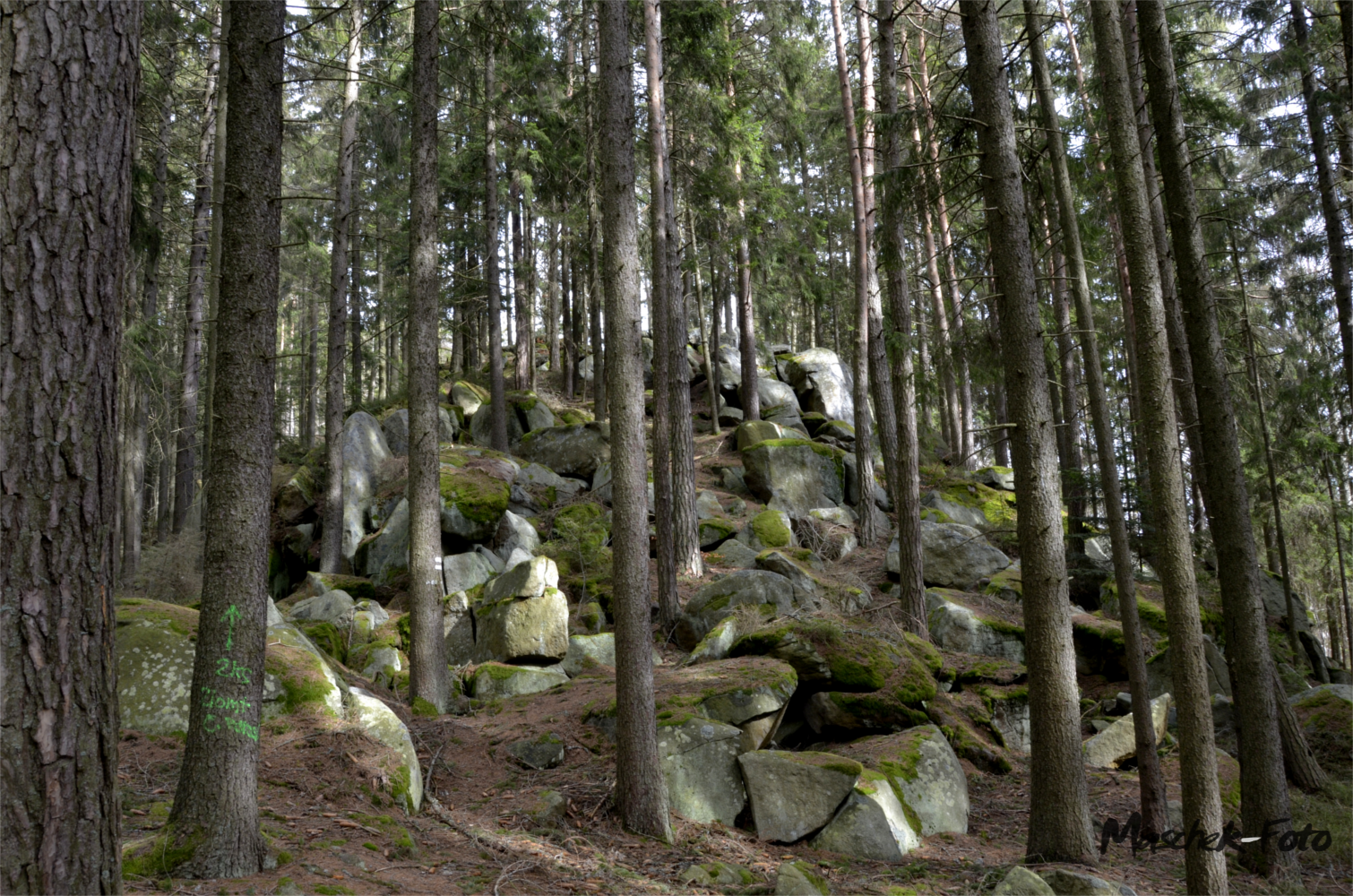 Wandern Lipno