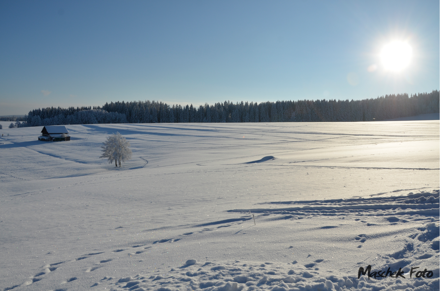 Weitsicht über das Feld