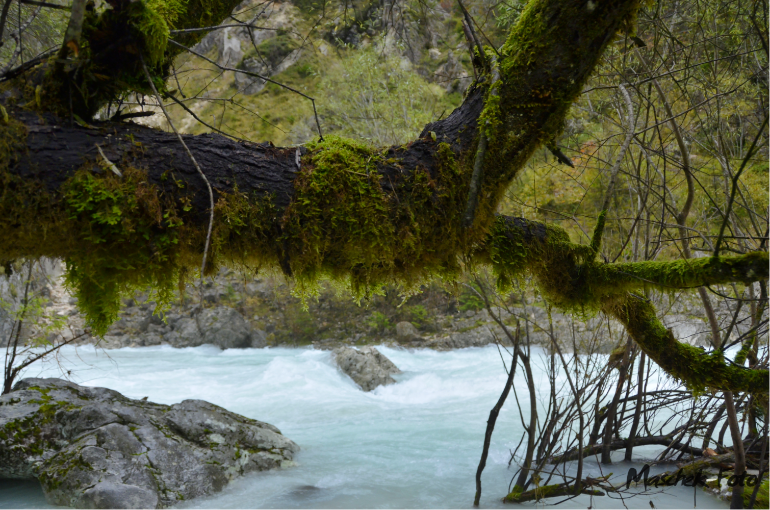 Soča / Isonzo
