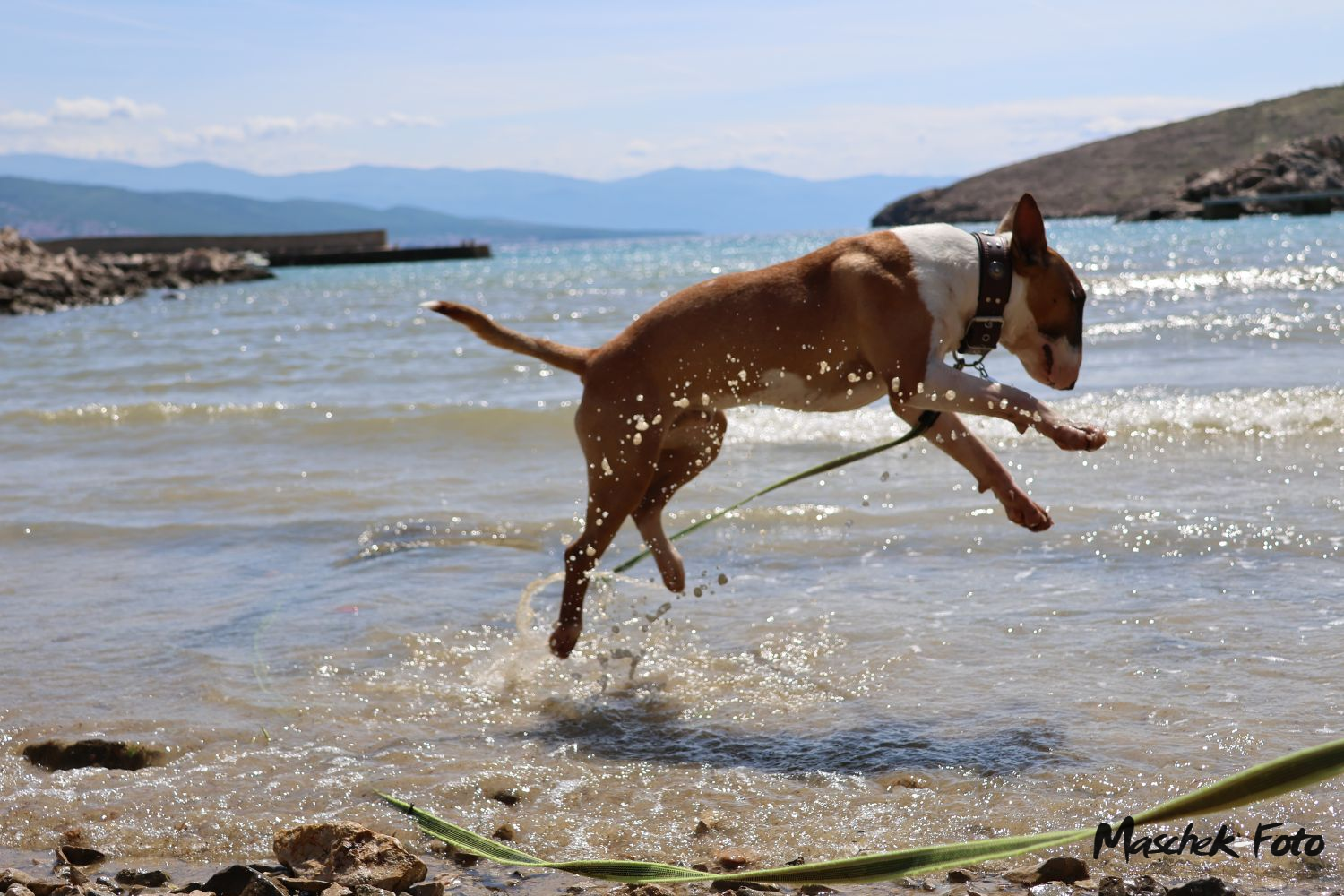 Thor beim Spielen