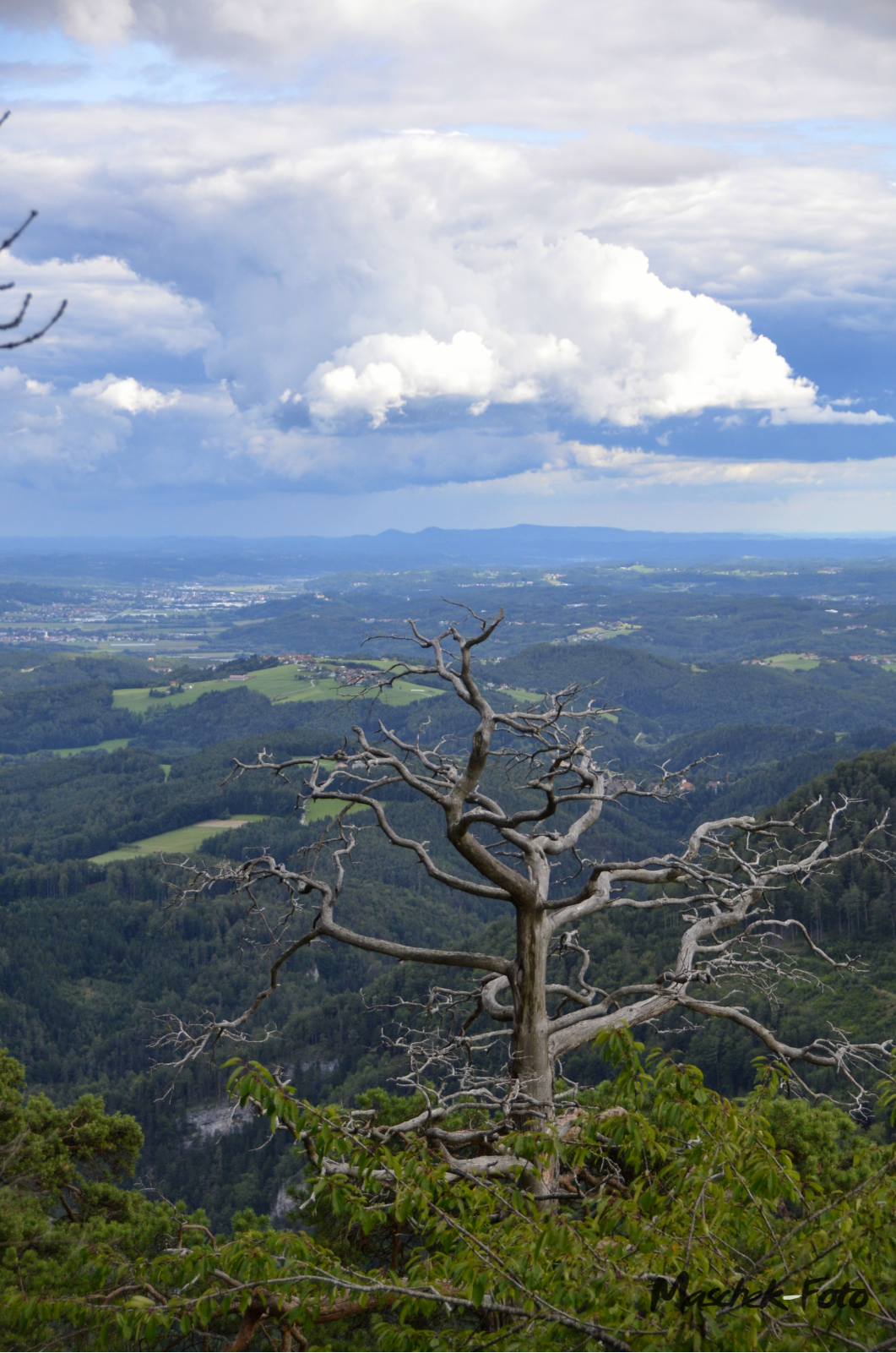 Ausblick am Gösser 1