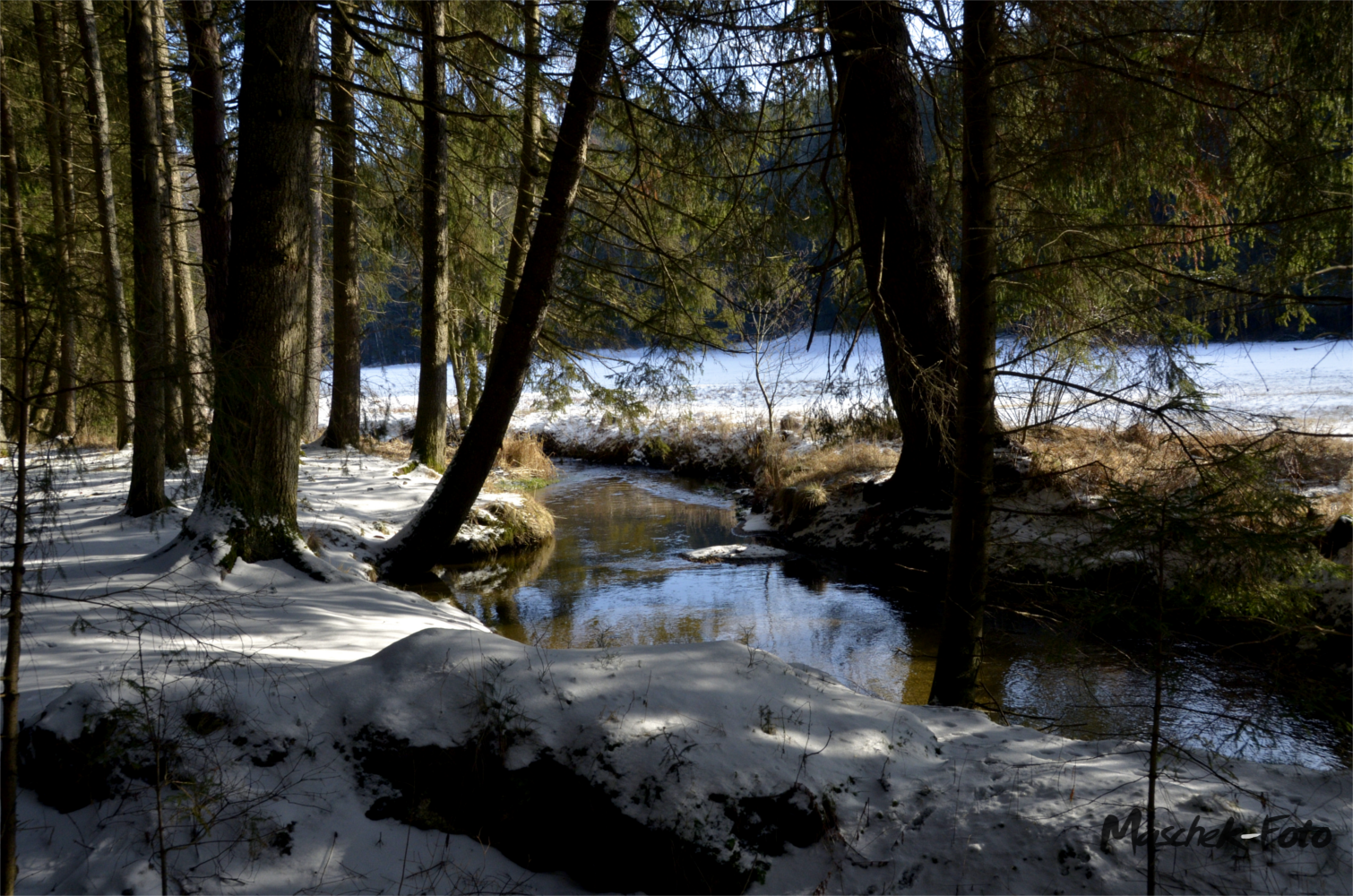 Licht/Schatten mit Lohnbach