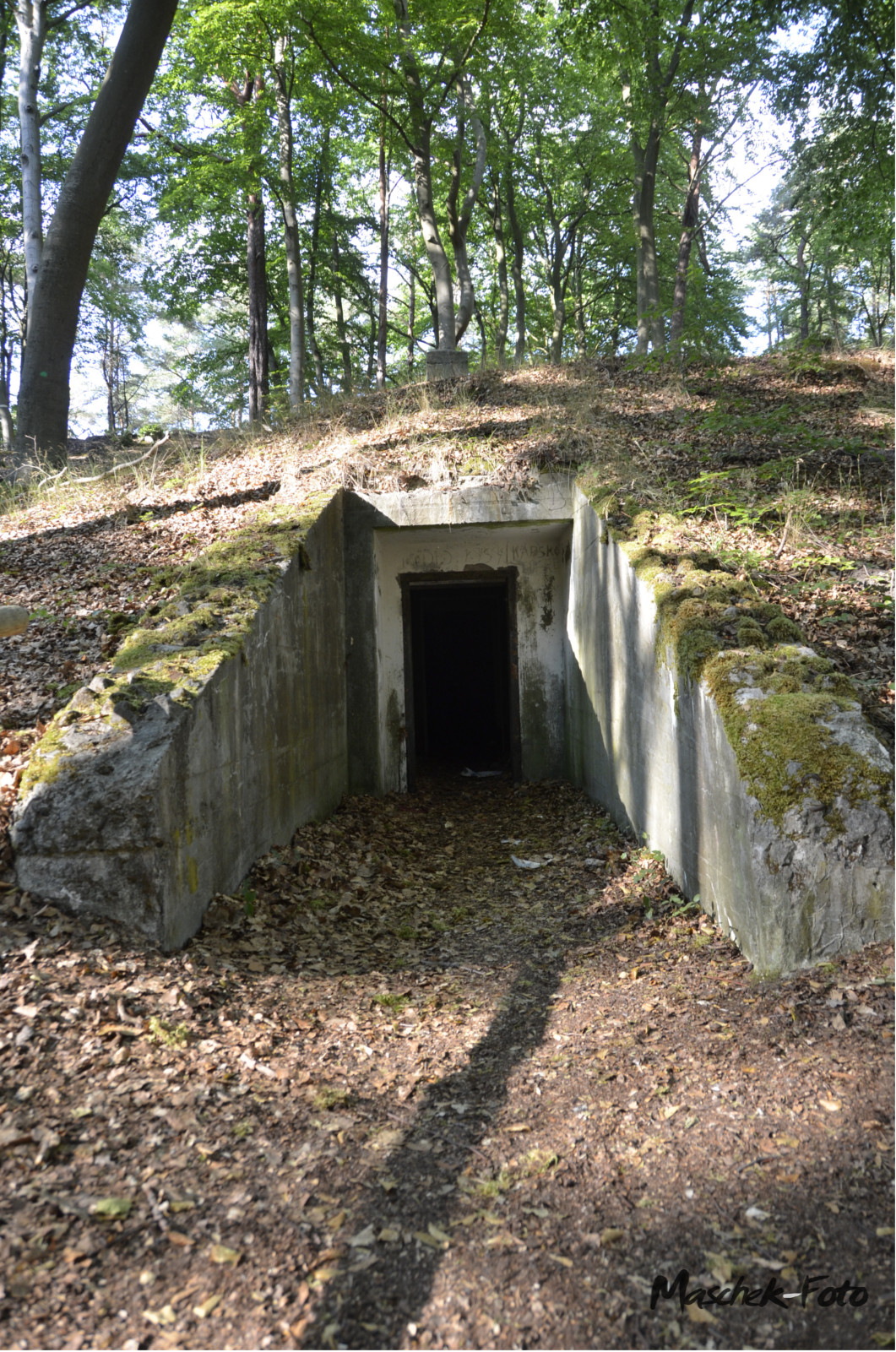Bunker-Eingang