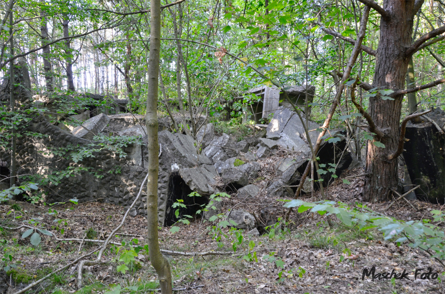 Zerfallener Bunker wie viele andere in Polen