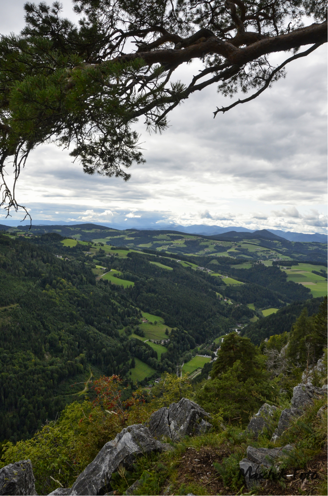 Ausblick am Gösser 2