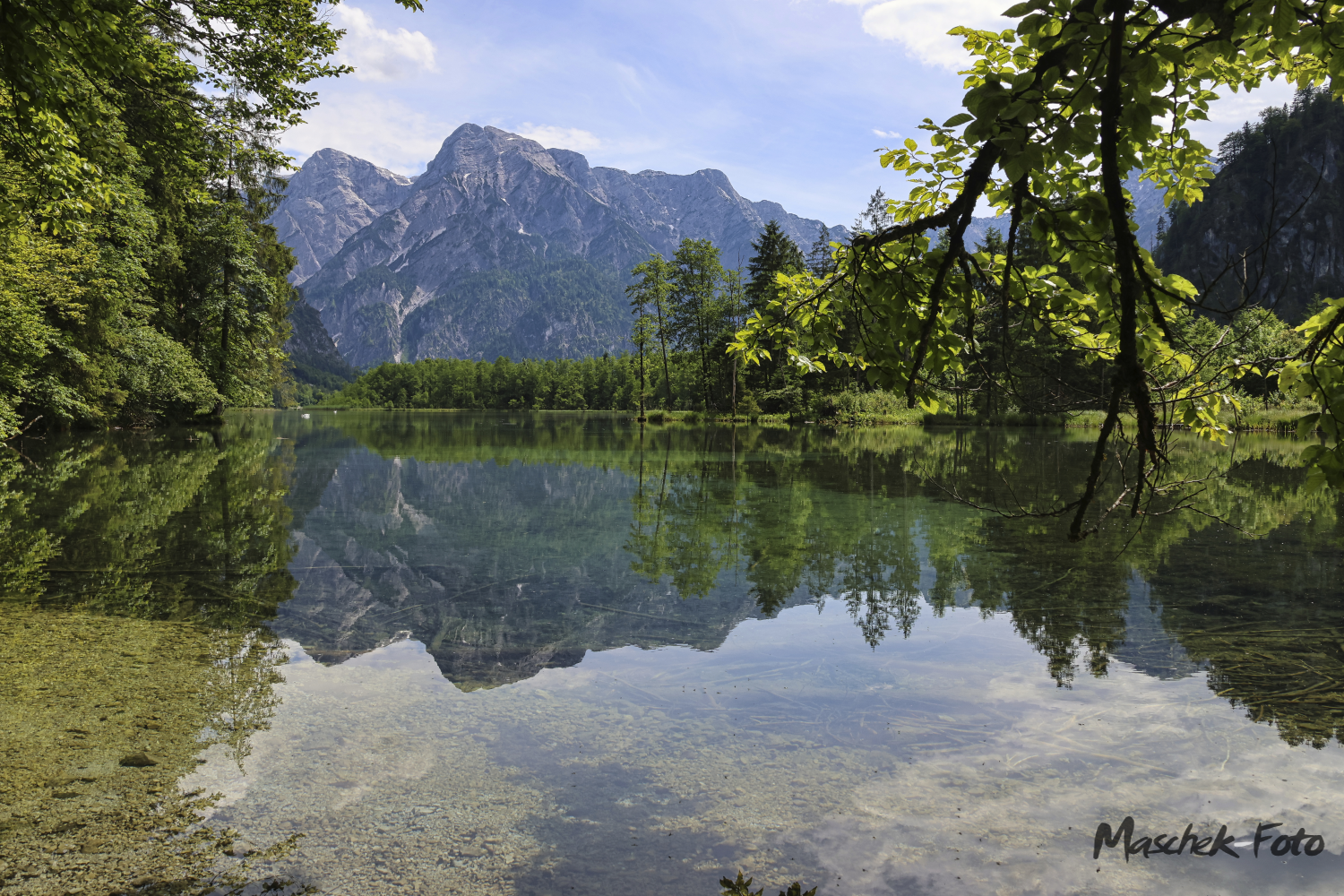 Almsee 4