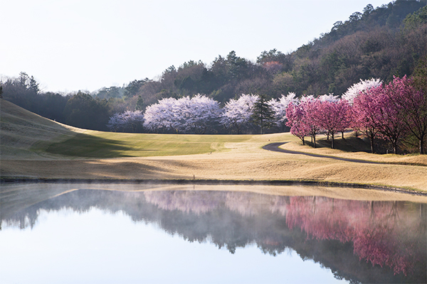 SUN ROYAL GOLF CLUB